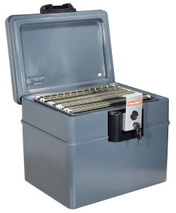 Tresor Wertheim ZFX_H2037